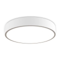 LED2 - LED Regulowane natynkowe oświetlenie sufitowe MONO LED/60W/230V 3000K/4000K białe