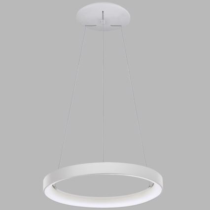 LED2 - LED Żyrandol na lince BELLA LED/48W/230V 3000K/4000K białe