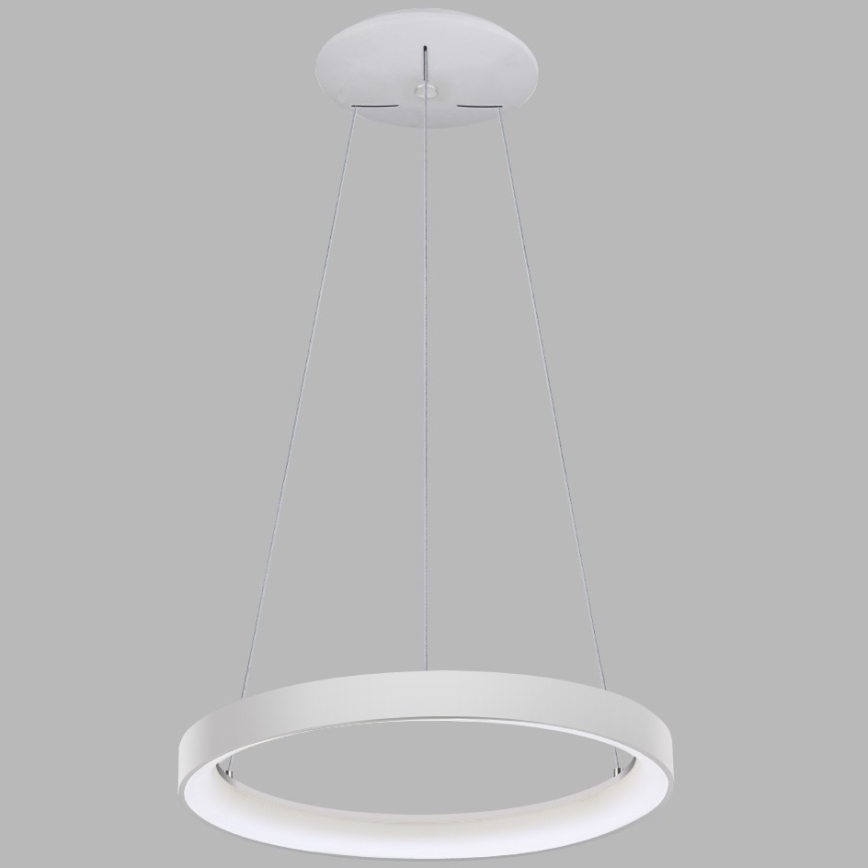 LED2 - LED Żyrandol na lince BELLA LED/48W/230V 3000K/4000K białe