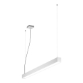 LED2 - LED Żyrandol na lince NOLI LED/40W/230V 3000K/3500K/4000K białe