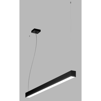 LED2 - LED Żyrandol na lince NOLI LED/40W/230V 3000K/3500K/4000K czarne