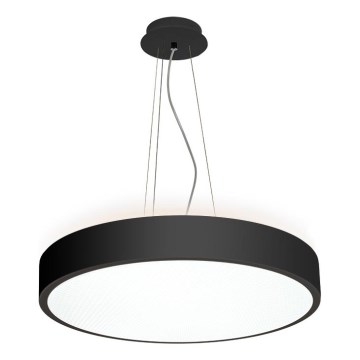 LED2 - LED Żyrandol na lince ROTO LED/48W/230V 2700K/3300K/4000K IP40 czarny śr. 40 cm