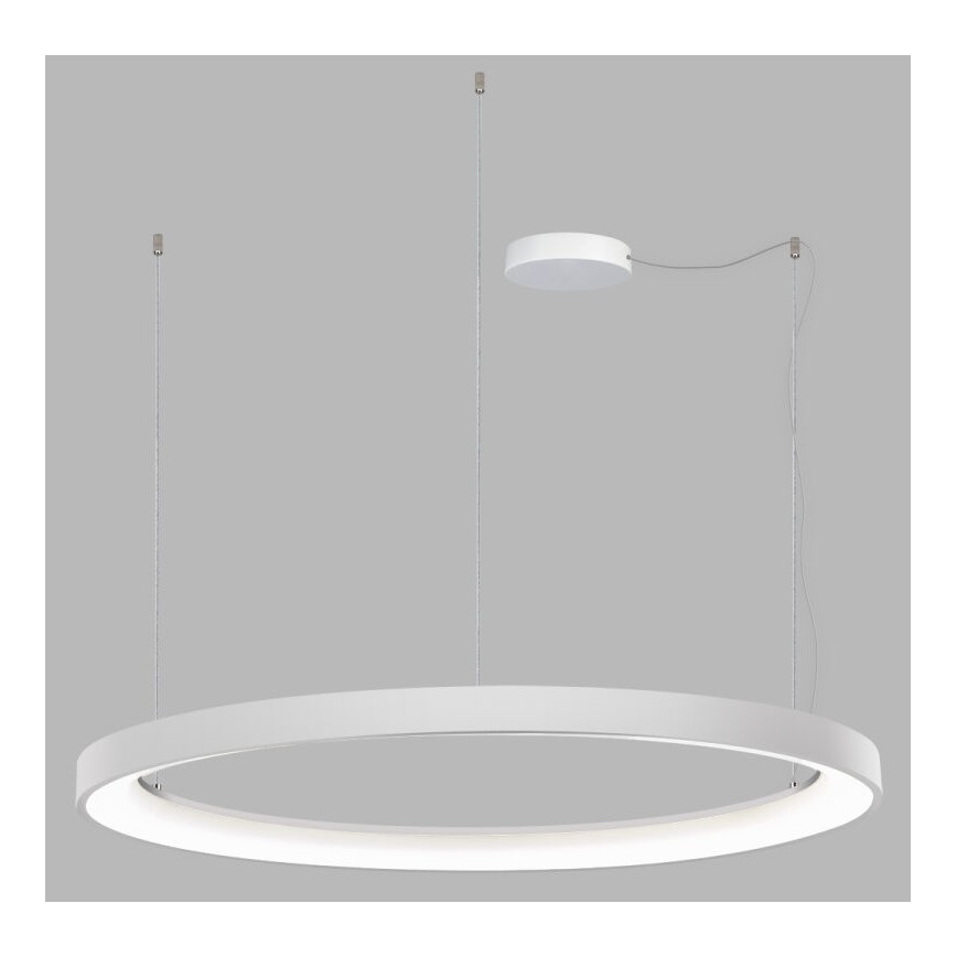 LED2 - LED Żyrandol ściemnialny na lince BELLA LED/80W/230V 3000K/4000K białe