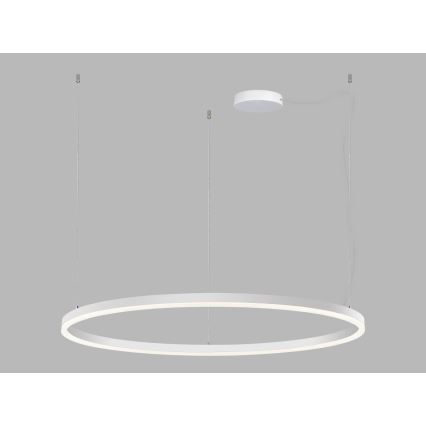 LED2 - LED Żyrandol ściemnialny na lince CIRCLE LED/80W/230V 3000K/4000K śr. 100 cm biały