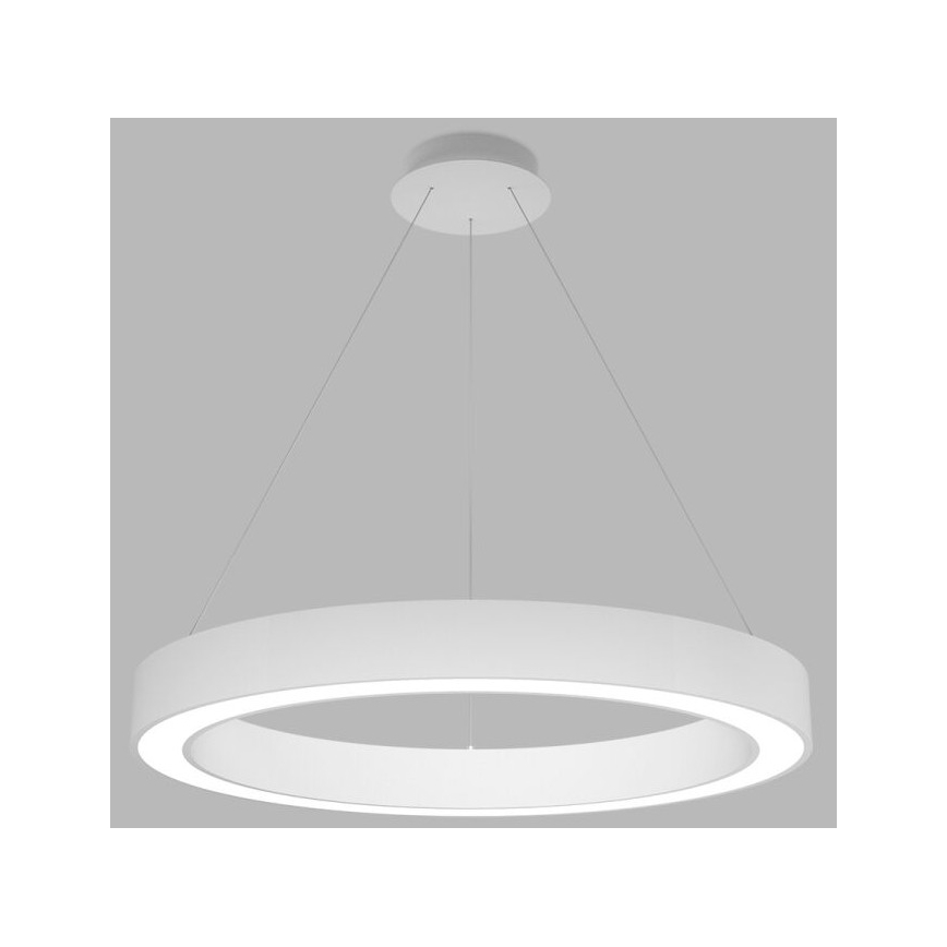 LED2 - LED Żyrandol ściemnialny na lince SATURN LED/60W/230V 3000K/4000K białe