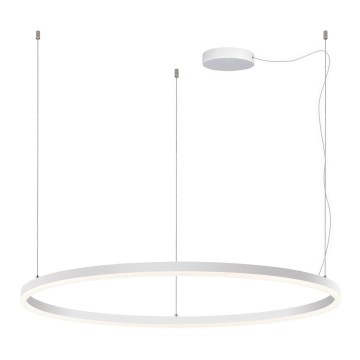 LED2 - Regulowany żyrandol LED na linkach SATURN LED/80W/230V śr. 100 cm biały