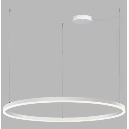 LED2 - Regulowany żyrandol LED na linkach SATURN LED/80W/230V śr. 100 cm biały