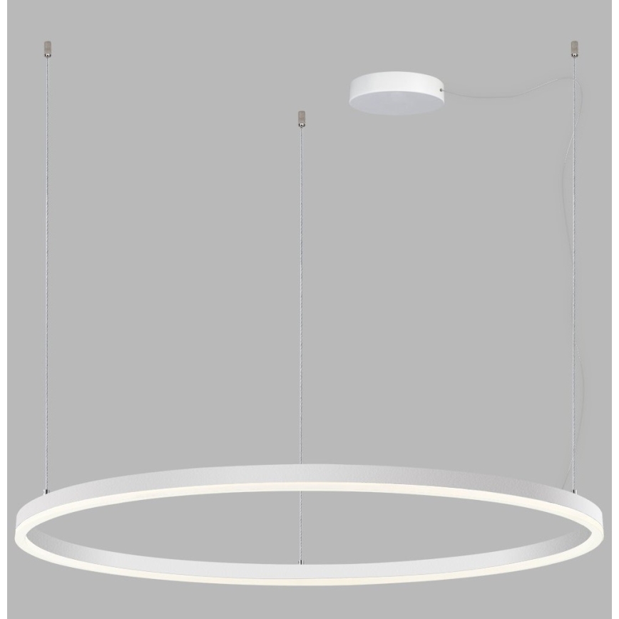 LED2 - Regulowany żyrandol LED na linkach SATURN LED/80W/230V śr. 100 cm biały