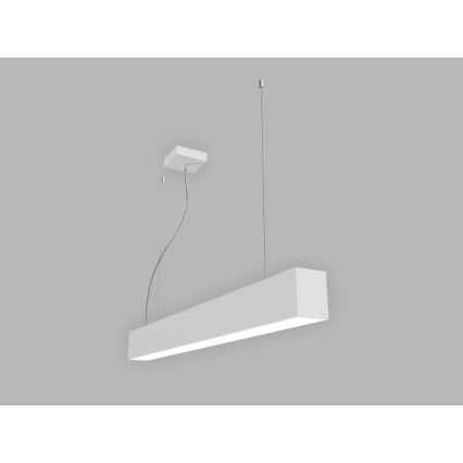 LED2 - Żyrandol LED na linkach LINO LED/24W/230V 3000K/3500K/4000K 90 cm czarny