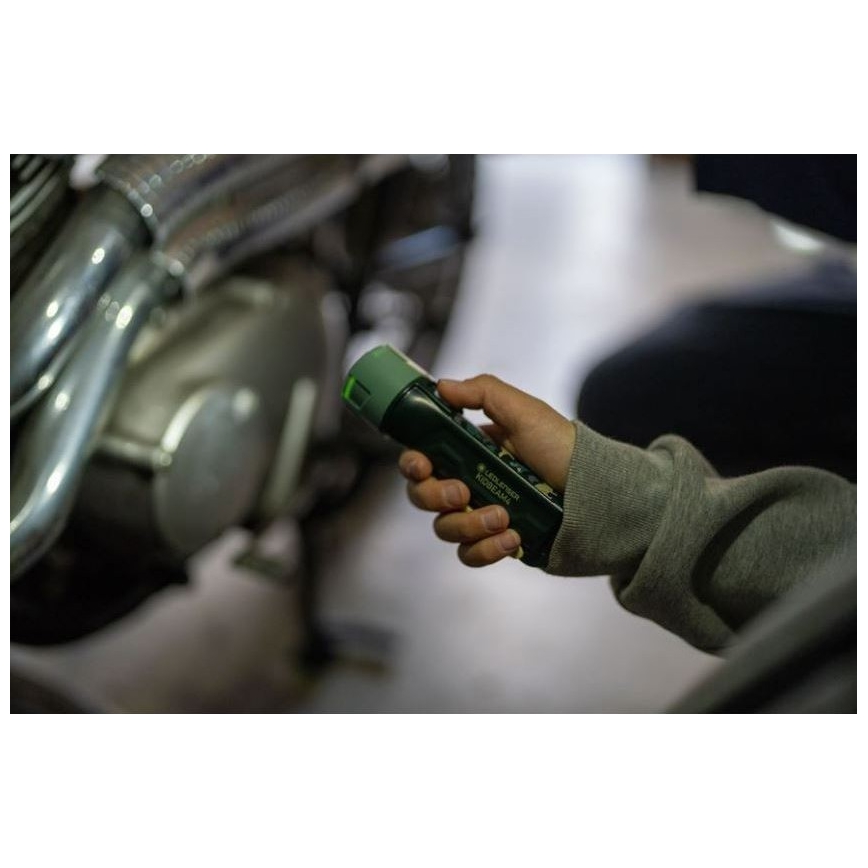 Ledlenser KIDBEAM4 DINO - ściemniana latarka dla dzieci LED/2xAAA IP44 zielona