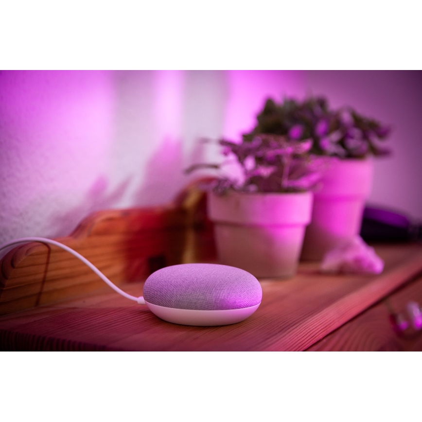 Ledvance - Inteligentny głośnik Google Nest Mini + LED RGBW Ściemniana żarówka SMART+E27/10W/230V