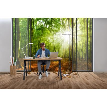 Ledvance - LED Regulowana lampa stołowa SUN@HOME LED/15W/230V 2200-5000K CRI 95 Wi-Fi