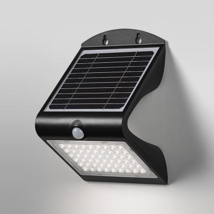 Ledvance - LED Kinkiet solarny z czujnikiem BUTTERFLY LED/4W/3,7V 2000 mAh IP65