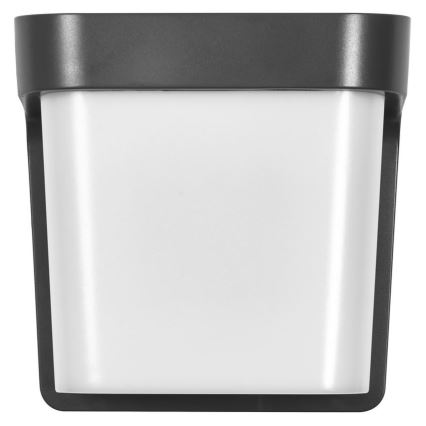 Ledvance - LED Kinkiet zewnętrzny ENDURA STYLE IHSAN LED/11W/230V IP65