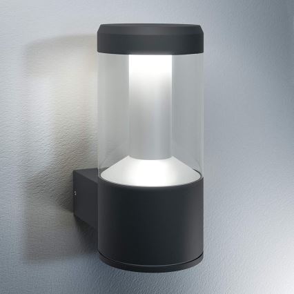 Ledvance - LED Kinkiet zewnetrzny LANTERN 1xLED/12W/230V IP44