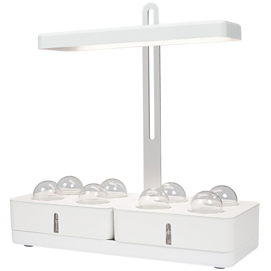 Ledvance - LED Lampa do wnętrz GARDEN KIT LED/24W/230V