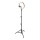 Ledvance - LED Lampa podłogowa ściemnialna ze stojakiem i uchwyt do vlogowania LED/6W/USB 3000/4000/6500K