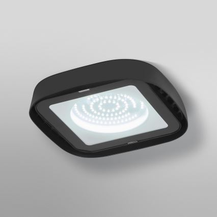 Ledvance - LED Lampa przemysłowa sufitowa HIGHBAY LED/80W/230V IP65 6500K
