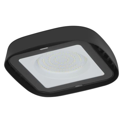 Ledvance - LED Lampa przemysłowa sufitowa HIGHBAY LED/80W/230V IP65 6500K