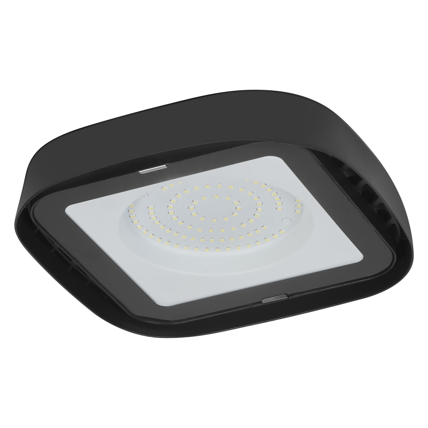 Ledvance - LED Lampa przemysłowa sufitowa HIGHBAY LED/80W/230V IP65 6500K