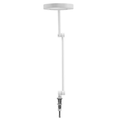 Ledvance - LED Lampa ściemnialna z klipsem SUN@HOME LED/15W/230V 2200-5000K CRI 95 Wi-Fi