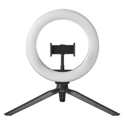 Ledvance - LED Lampa stołowa ściemnialna ze stojakiem i uchwyt do vlogowania LED/5,5W/USB 3000/4000/6500K