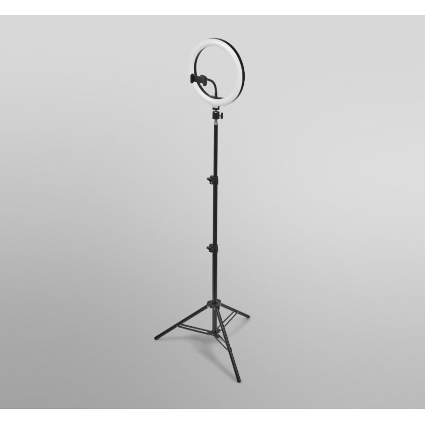 Ledvance - LED Lampa podłogowa ściemnialna ze stojakiem i uchwyt do vlogowania LED/6W/USB 3000/4000/6500K