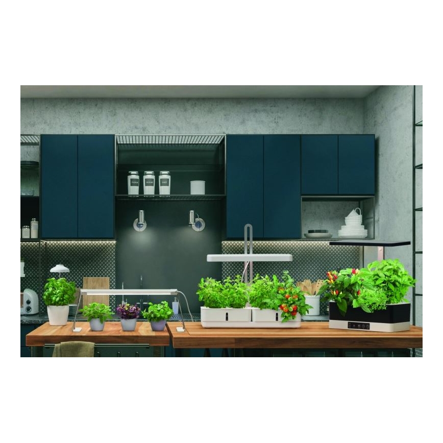 Ledvance - LED Lampa wewnętrzna GARDEN LIGHT LED/14W/230V