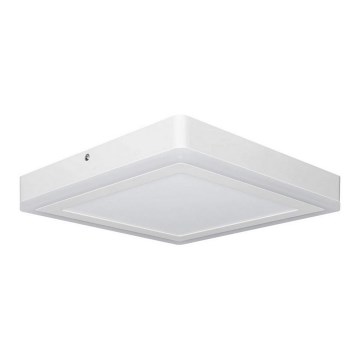 Ledvance - LED Oświetlenie sufitowe SQUARE LED/18W/230V