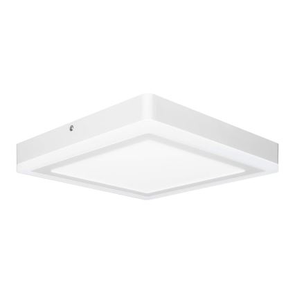 Ledvance - LED Oświetlenie sufitowe SQUARE LED/18W/230V