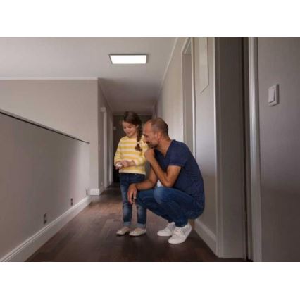 Ledvance - LED Panel natynkowy FRAMELESS LED/19W/230V 3000K