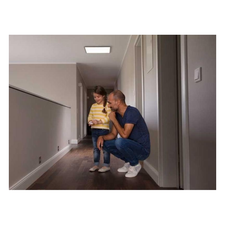 Ledvance - LED Panel natynkowy FRAMELESS LED/19W/230V 3000K