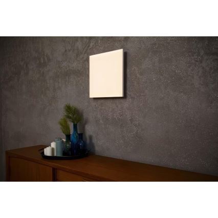 Ledvance - LED Panel natynkowy FRAMELESS LED/40W/230V 3000K