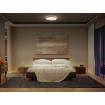 Ledvance - LED Plafon ORBIS DUBLIN LED/24W/230V śr. 39 cm