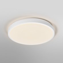 Ledvance - LED Plafon ORBIS LONDON LED/36W/230V biały
