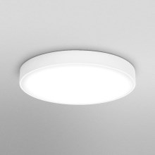 Ledvance - LED Plafon ORBIS SLIM LED/36W/230V biały