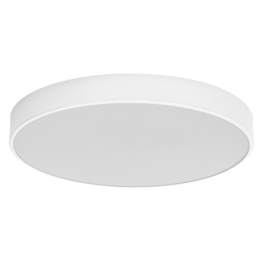 Ledvance - LED Plafon ORBIS SLIM LED/36W/230V biały