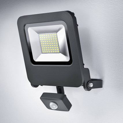 Ledvance - LED Reflektor z czujnikiem ENDURA LED/50W/230V IP44