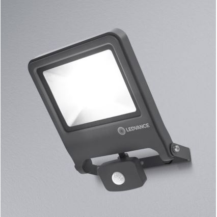 Ledvance - LED Reflektor z czujnikiem ENDURA LED/50W/230V IP44