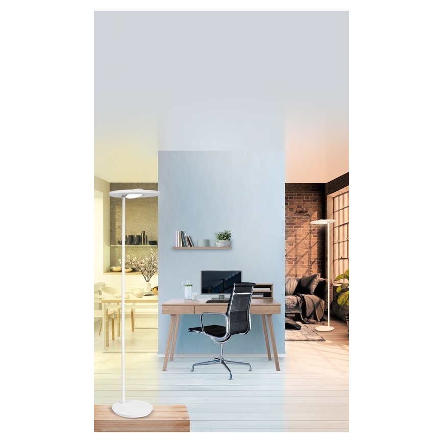 Ledvance - LED Ściemniana lampa SUN@HOME LED/36W/230V 2200-5000K CRI 95 Wi-Fi
