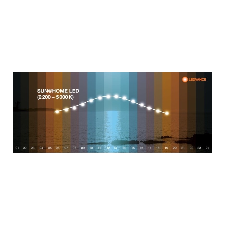 Ledvance - LED Ściemniana lampa SUN@HOME LED/36W/230V 2200-5000K CRI 95 Wi-Fi