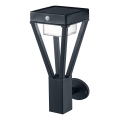 Ledvance - LED Solarna lampa ścienna z czujnikiem BOUQUET LED/6W/3,7V 2200 mAh IP44