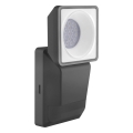 Ledvance -LED Zewnętrzny kinkiet z czujnikiem  SPOT LED/8W/230V IP55 czarny