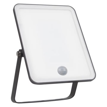 Ledvance - Reflektor LED zewnętrzny z czujnikiem FLOODLIGHT LED/30W/230V 6500K IP65