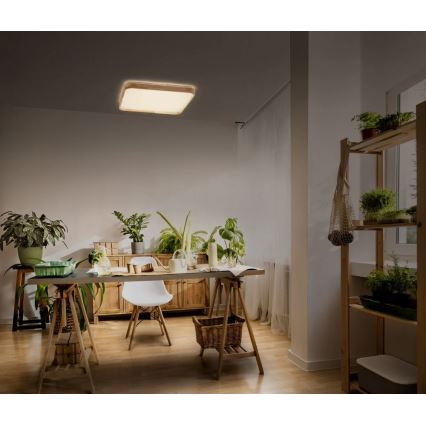 Ledvance - ściemnialna oprawa sufitowa LED ORBIS LED/16W/230V 3000K 29x29 cm