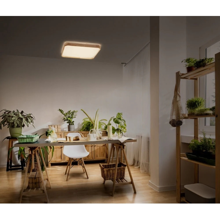 Ledvance - ściemnialna oprawa sufitowa LED ORBIS LED/16W/230V 3000K 29x29 cm