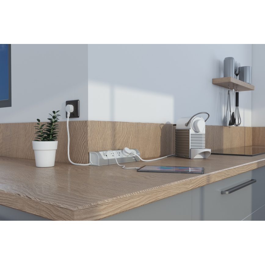 Legrand 049406 - Przedłużacz 3 gniazda Typ E z USB-A i USB-C, 1 m, srebrno-biały