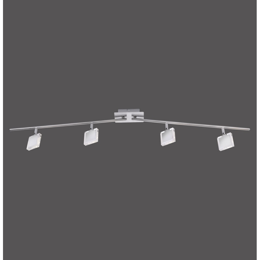 Leuchten Direkt 11084-55 - LED Oświetlenie punktowe TONY 4xLED/4W/230V