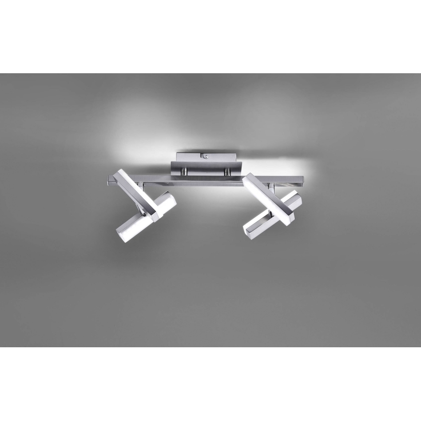 Leuchten Direkt 11277-55 - LED Oświetlenie punktowe  RICO 4xLED/2W/230V
