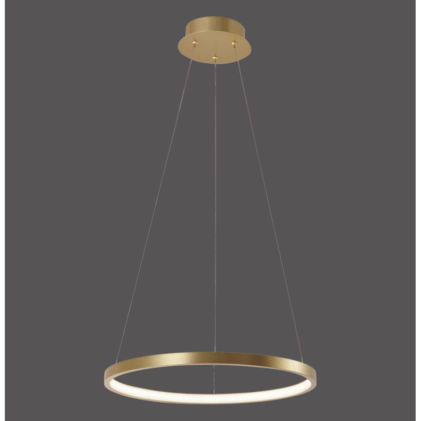 Leuchten Direkt 11522-12 - LED Żyrandol na lince CIRCLE LED/19W/230V